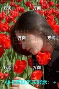 无畏