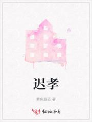 布衣天子免费观看全集