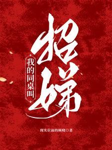 绝品透视眼赌石