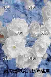 抗战我有个军火库高阳