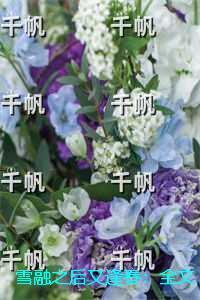 嫁给铁哥们最新章节