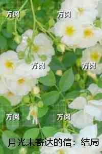 我是龙珠之贝吉塔