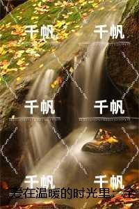 凤栖梧桐读音