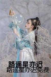 风雪刀客简介
