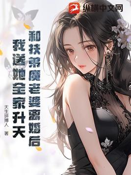 前妻与前夫的电视剧