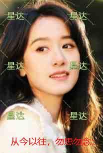 我的冒险txt