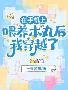 离婚前一天我失忆了全文免费阅读