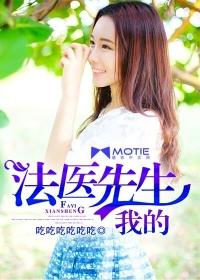 鉴宝赘婿免费阅读