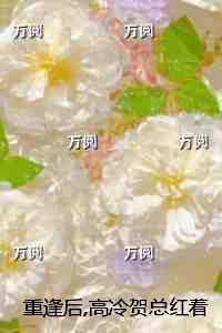 麻衣天师 十沂
