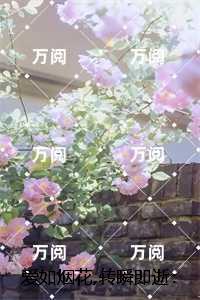 年代文中男主的亲妈