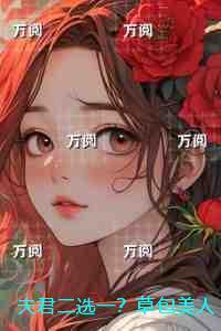 红窗在线阅读