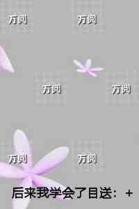 双落冰心2阅读