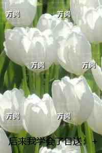 全家反派重生了