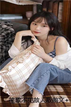 乞丐王妃电视剧