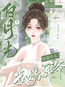 乞丐王子80集央视版国语