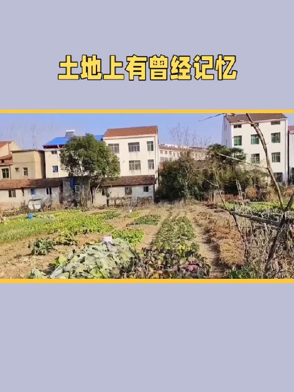 快穿拯救那个反派小可怜TXT