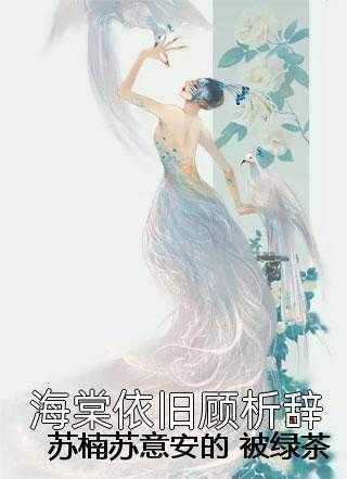 中州录南十字星TXT百度