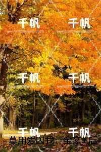 青龙白虎指的是什么意思