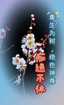 七零国医无双老胡十八免费