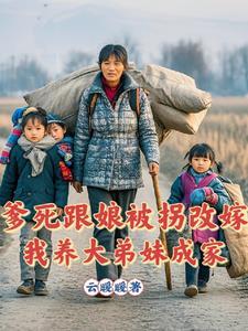 紫血圣皇实力等级