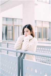 东北往事之黑道风云