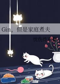 我不是鉴宝师